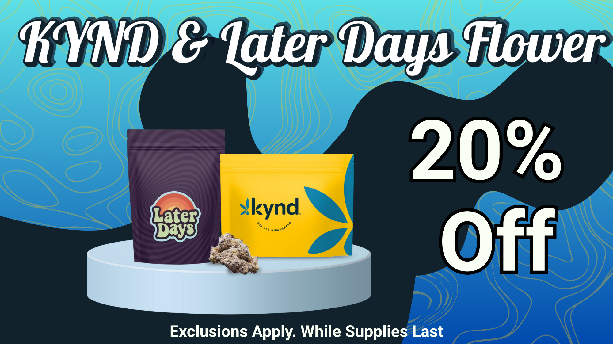 Funky_Orange_800_x_391_px_10